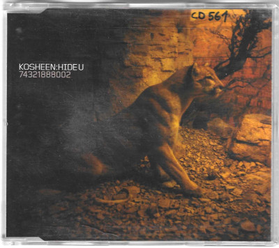Kosheen – Hide U
