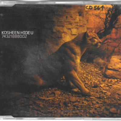 Kosheen – Hide U