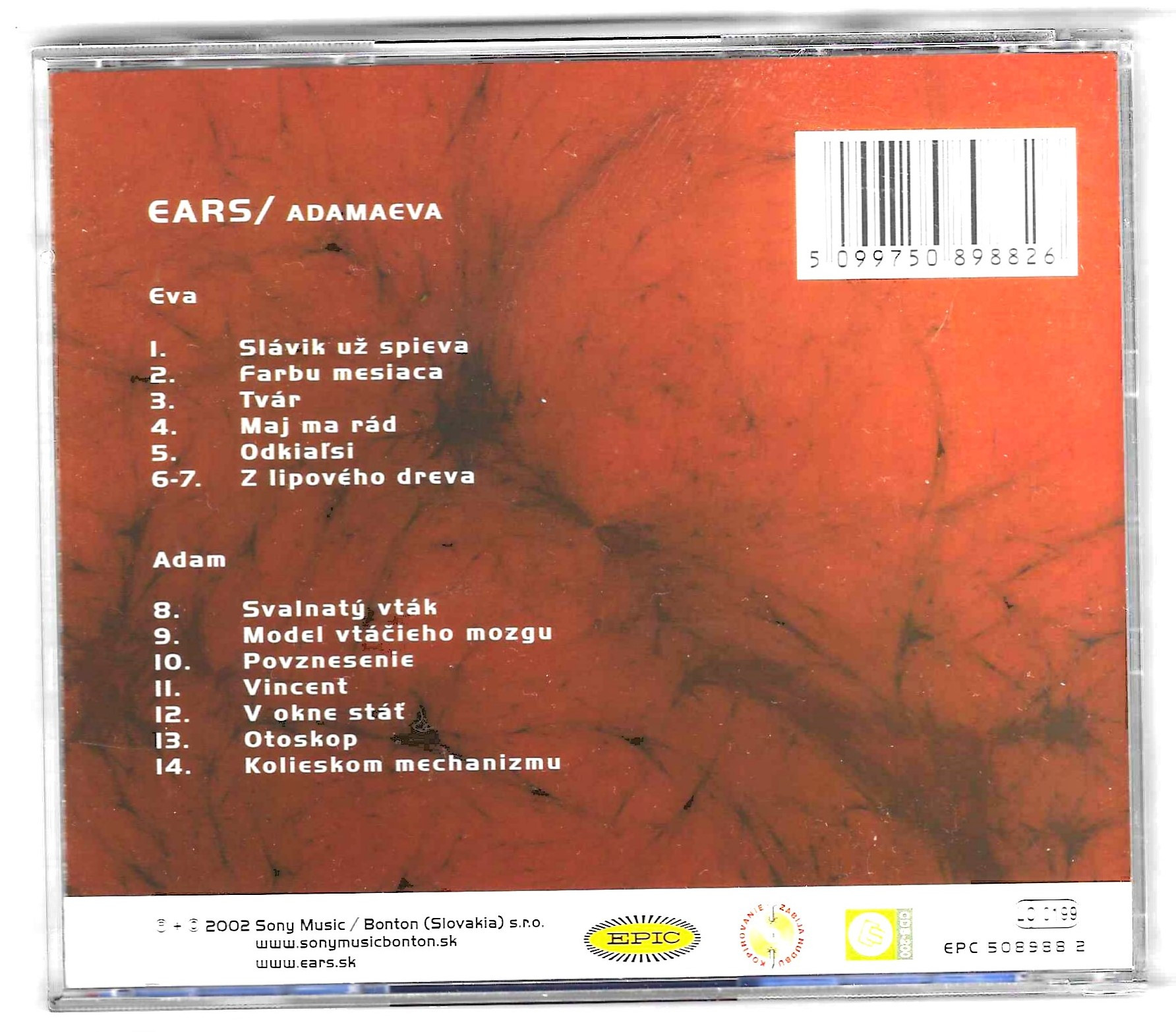 Ears – Adamaeva